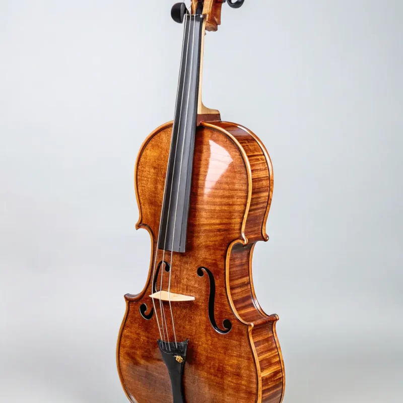 Professional Viola